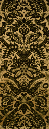 Fond jaune poil vert