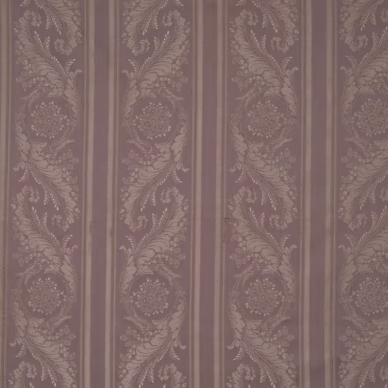 Bordures les Ipomées